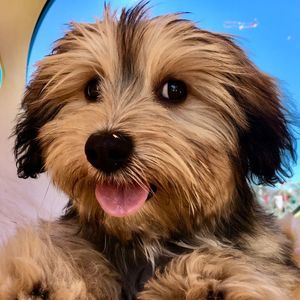 Meet your Posher, Eric